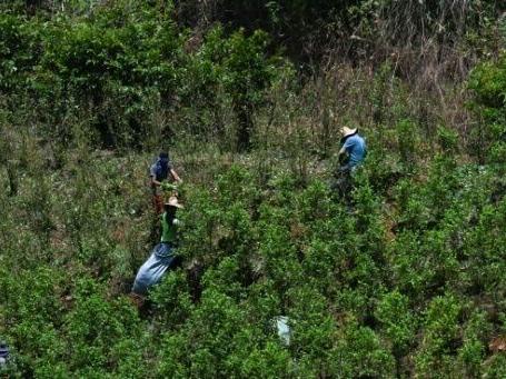 Are US strikes hurting Latin America's drug trade?